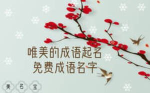 唯美的成語起名，免費成語名字