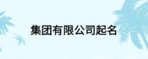集團(tuán)有限公司起名