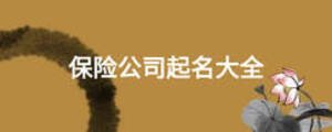 保險(xiǎn)公司起名大全