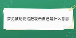 夢(mèng)見(jiàn)被動(dòng)物追趕攻擊自己是什么意思