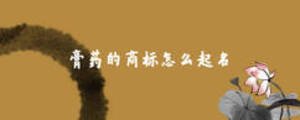 膏藥的商標怎么起名