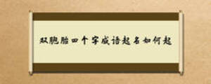 雙胞胎四個字成語起名如何起