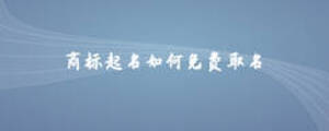商標(biāo)起名如何免費(fèi)取名