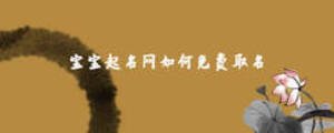 寶寶起名網(wǎng)如何免費(fèi)取名