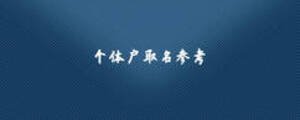 個體戶取名參考