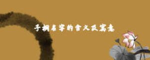 子桐名字的含義及寓意