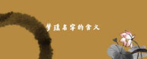 夢瑤名字的含義