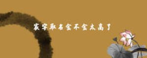 宸字取名會不會太高了