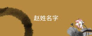 趙姓名字