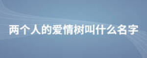 兩個(gè)人的愛(ài)情樹(shù)叫什么名字