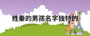 姓秦的男孩名字獨(dú)特的