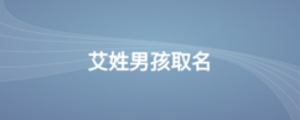 公司2 (3).png