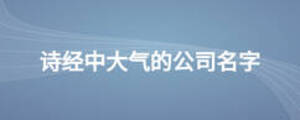 詩(shī)經(jīng)中大氣的公司名字