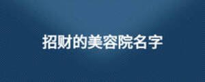 招財?shù)拿廊菰好? width=