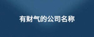 有財(cái)氣的公司名稱