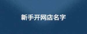 新手開網(wǎng)店名字