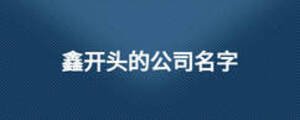鑫開(kāi)頭的公司名字