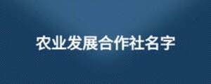 農(nóng)業(yè)發(fā)展合作社名字