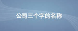 公司三個字的名稱
