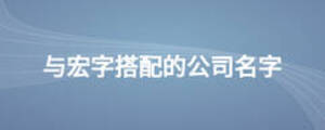 與宏字搭配的公司名字
