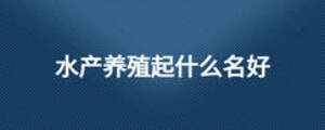 水產(chǎn)養(yǎng)殖起什么名好