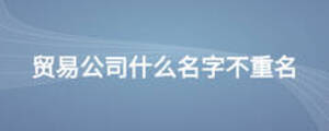 貿(mào)易公司什么名字不重名
