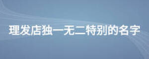 理發(fā)店獨(dú)一無二特別的名字