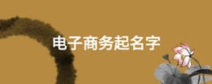 電子商務(wù)起名字