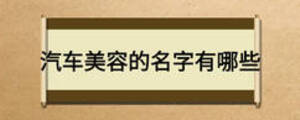 汽車(chē)美容的名字有哪些