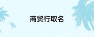 商貿(mào)行取名