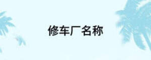 修車(chē)廠名稱(chēng)