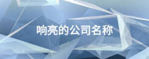 響亮的公司名稱