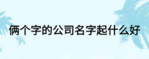 倆個(gè)字的公司名字起什么好