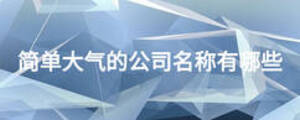 簡(jiǎn)單大氣的公司名稱有哪些