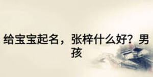給寶寶起名，張梓什么好？男孩
