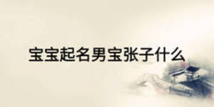 寶寶起名男寶張子什么