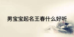 男寶寶起名王春什么好聽