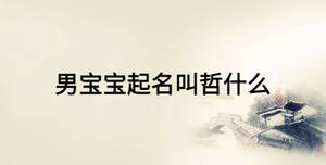 男寶寶起名叫哲什么