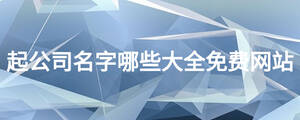 起公司名字哪些大全免費(fèi)網(wǎng)站