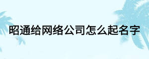 昭通給網(wǎng)絡(luò)公司怎么起名字