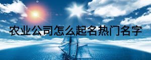 農業公司怎么起名熱門名字