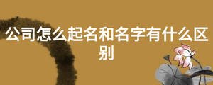 公司怎么起名和名字有什么區(qū)別