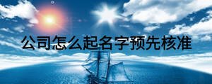公司怎么起名字預先核準