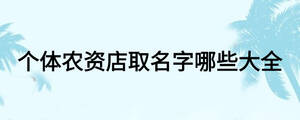 個體農(nóng)資店取名字哪些大全