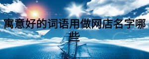 寓意好的詞語用做網(wǎng)店名字哪些
