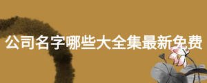 公司名字哪些大全集最新免費(fèi)