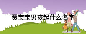 賈寶寶男孩起什么名字