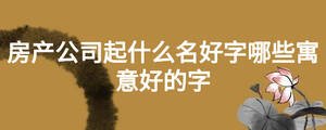 房產(chǎn)公司起什么名好字哪些寓意好的字