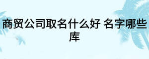 商貿(mào)公司取名什么好 名字哪些庫