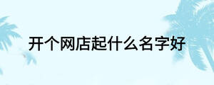 開(kāi)個(gè)網(wǎng)店起什么名字好